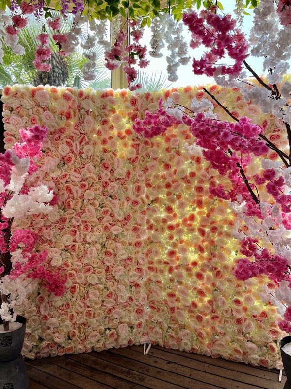 Mur de fleurs Sanary-sur-mer